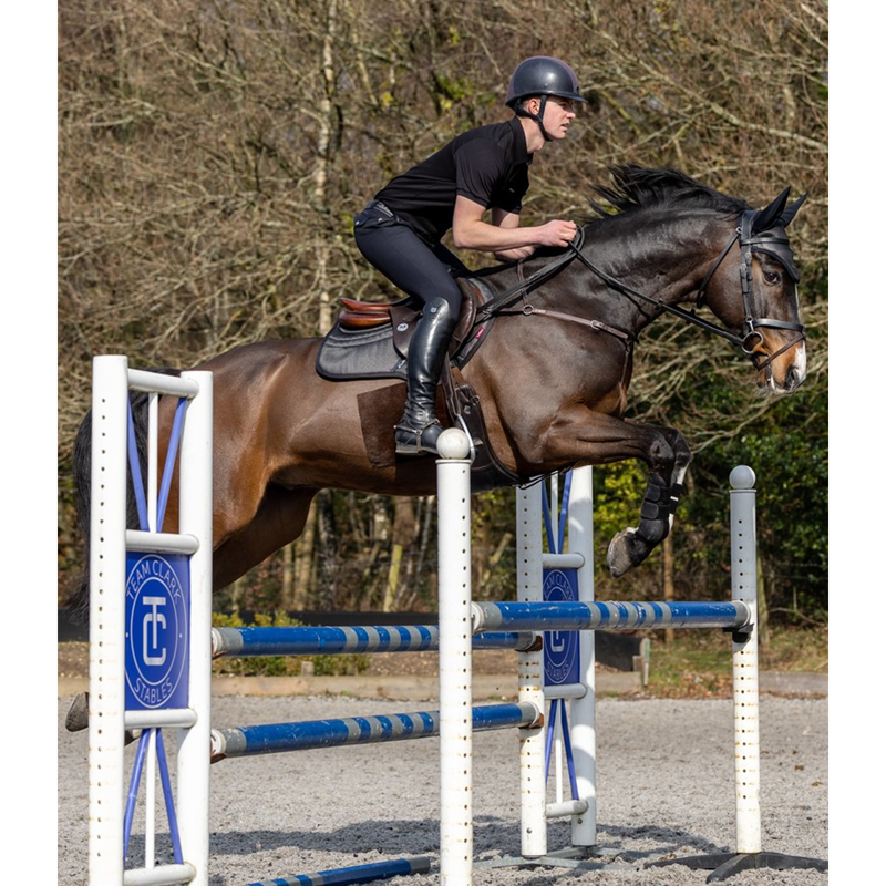 LeMieux Ultra Mesh Close Contact Square - Black - L-1